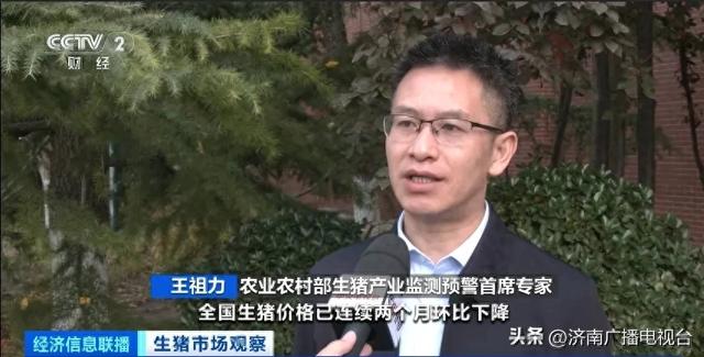 腌腊季到来，生猪价格为何反而走低？ 