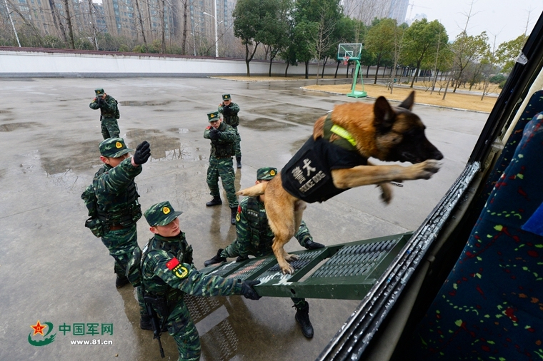 电脑在安全模式下能不能上网